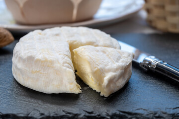 French dauphinois cheeses collection, Saint-Marcellin, creamy Saint- Felicien cow's milk cheese with white mold from Rhône-Alpes region of France