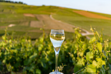 Tasting of white sparkling wine brut, grand reserve, champagne on vineyards of Ay-Champagne grand cru wine making village in Vallee de Marne, Champagne, France