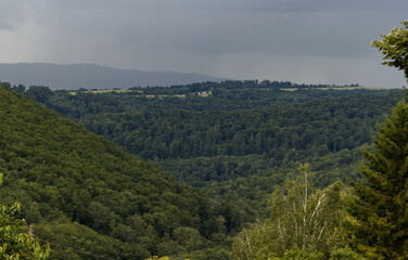 Summer cloudy sky over alpine landscape. Dense forest cover. Summer sky before an approaching storm.