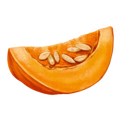 A juicy slice of pumpkin with visible seeds, hand-painted in a soft watercolor style. Ideal for autumn, food, or harvest-themed designs