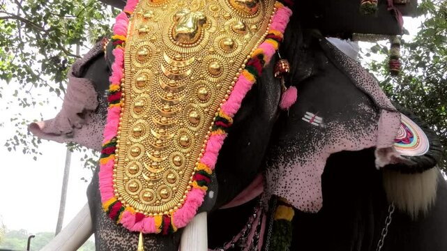 Closeup of decorated elephant participating in a temple festival in Kerala, India
