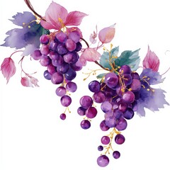 Vibrant bunches of purple grapes with delicate leaves highlighted against a white background creating a fresh and artistic display Generative AI