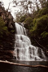 Obraz premium waterfall in the forest