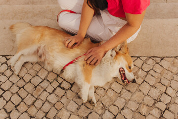 Close-up of a woman hugging a Welsh Corgi in a park on a hot sunny day. The dog looks tired from...