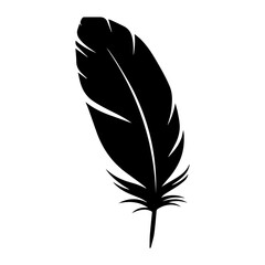 Obraz premium Black feather silhouette with detailed texture and sharp lines 