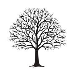 Obraz premium Bare tree silhouette black branches
