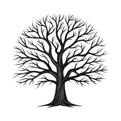 Obraz premium Detailed black silhouette of a bare tree white