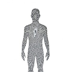 A metaphor for the complexity of the mind: a human silhouette containing an intricate labyrinth, symbolizing an inner journey
