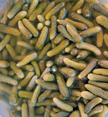 Numerous small pickled cucumbers gherkins submerged in brine showcasing their vibrant texture and...