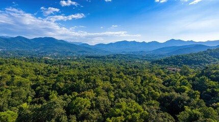 Obraz premium Panoramic mountain vista (1)