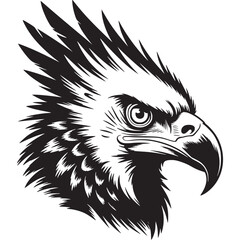Detailed black and white line drawing of an eagle head facing right with sharp feathers and beak on transparent background