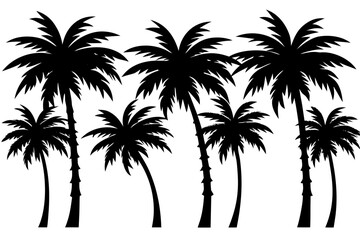 palm trees sillouette