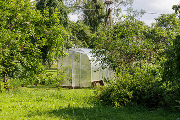 Small Greenhouse in a Lush Green Garden