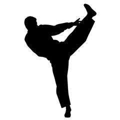 Male martial artist performing high kick in silhouette  
