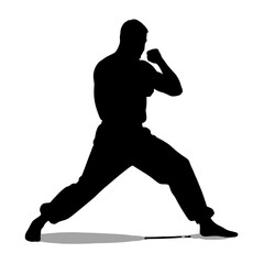 Silhouette of a man practicing martial arts in a fighting stance  