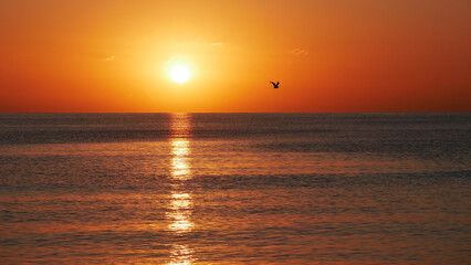 Fototapeta premium Vivid sunset over the sea with a glowing sun and golden reflection on the calm water. Peaceful and captivating atmosphere. Nature background, relaxation concept, travel theme and inspirational visual