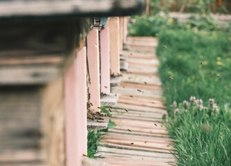 Fototapety na wymiar - Fototapeta24.pl