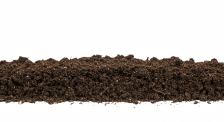 border of soil isolated on transparent background, PNG, soil texture, garden soil, earth border, brown soil PNG, dirt isolated, topsoil PNG, earthy texture