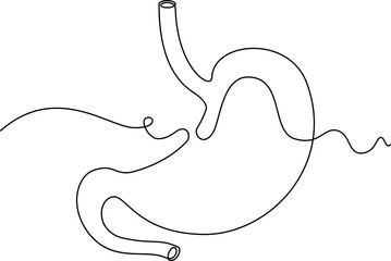 one line art Stomach vector illustration. line art, one continuous line, simple, hand drawn and sketch style. for icons, symbols, signs or logos. PNG