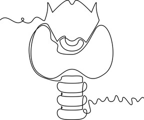 one line art Thyroid vector illustration. line art, one continuous line, simple, hand drawn and sketch style. for icons, symbols, signs or logos. PNG