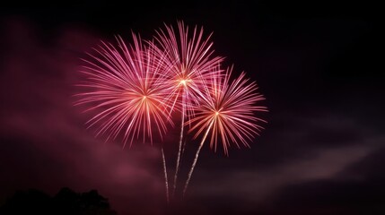 Photograph of a fireworks display. the sky is dark and filled with pink and red fireworks. the fireworks are bursting in different directions, creating a beautiful display of light and color.