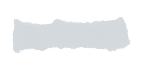 A long rectangular shape with a white and gray speckled texture on a black background in the image