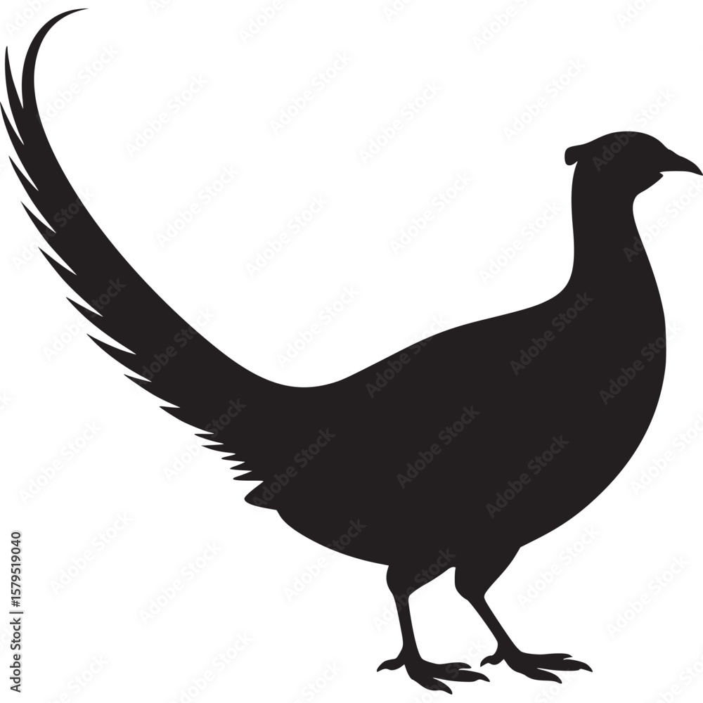 Poster silhouette of a pheasant with a long tail standing on a light gray background in a simple illustrati