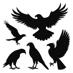 Flying Eagle and Bird of Prey Silhouette Set – Majestic Wildlife Vector Illustration  