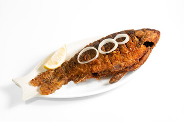 grilled fish on white background