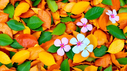 Autumn season background