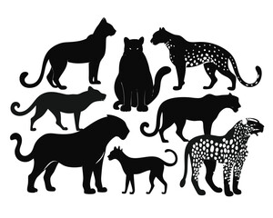 Wild Animal Silhouettes Collection | Panther, Dog, Cat, Horse Jungle Icons