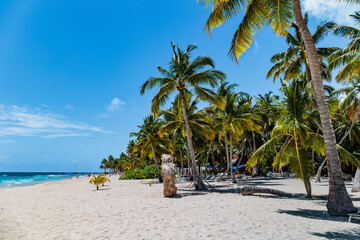 Insel Saona - Strandidyll in der Karibik