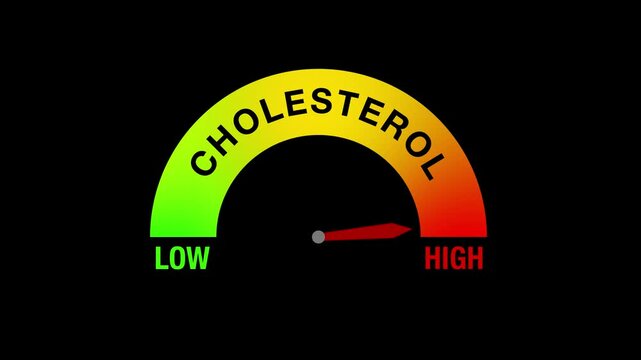Animation of a cholesterol level gauge displaying low, mid, and high levels, symbolizing health awareness.