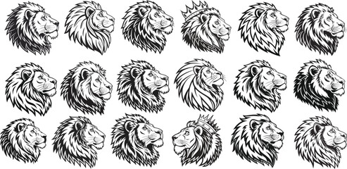 Lion black and white vector