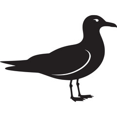 A silhouette of a seagull standing against a white background with its head turned to the right on transparent background