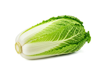 Chinese cabbage isolated on white background