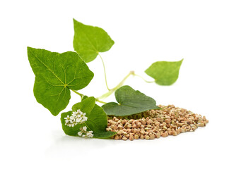 Buckwheat grain and its flower with leaves.
