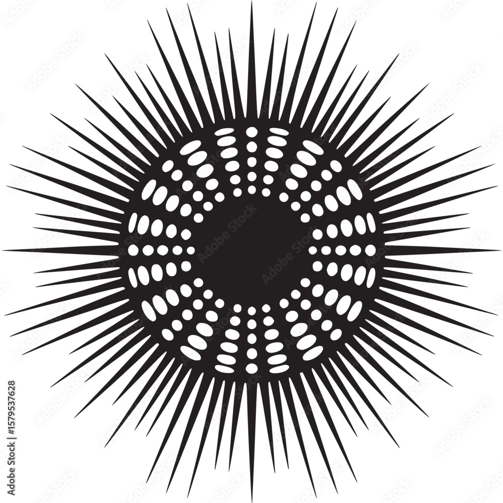 Poster a black and white graphic design featuring a central dotted circle with radiating sharp lines around
