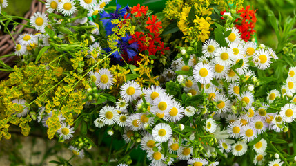 Beautiful bouquet of wildflowers, natural background of flowers