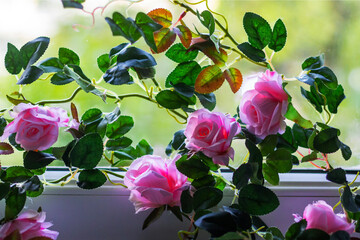 roses on the windowsill. the image of a bright bouquet on the windowsill