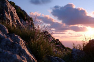 Grass and Rocks at Sunset