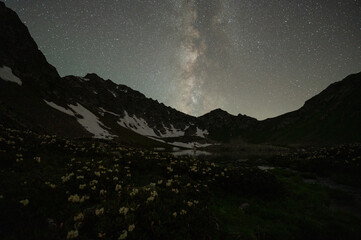 milky way over blooming lake