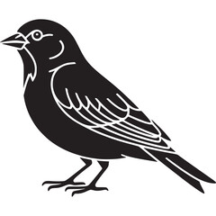 A black and white illustration of a bird standing with detailed feather and eye design element on transparent background