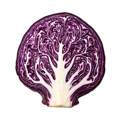 Obraz premium Vibrant red cabbage slices displaying detailed purple and white layers perfect for food and health related concepts