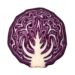 Obraz premium Vibrant red cabbage slices displaying detailed purple and white layers perfect for food and health related concepts
