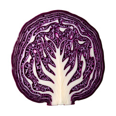 Obraz premium Vibrant red cabbage slices displaying detailed purple and white layers perfect for food and health related concepts
