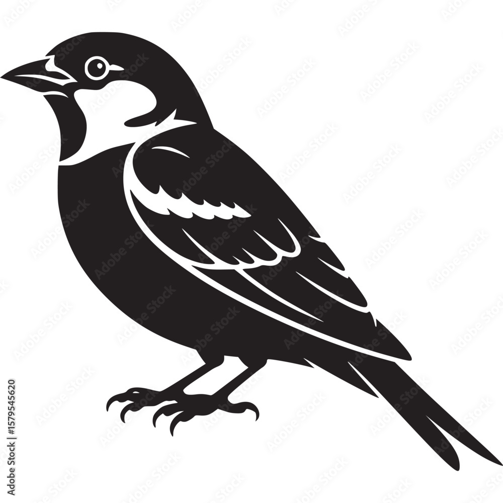 Poster a stylized black and white illustration of a small bird with detailed feathers and a sharp beak desi