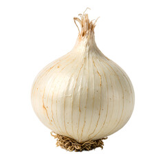 Fresh white onion with delicate papery skin and visible roots isolated on white background Ideal for culinary and health related concepts