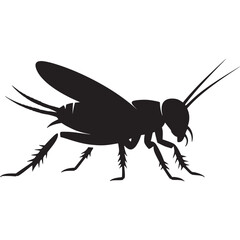 A silhouette of a cricket with long antennae and spiky legs on a light gray background image art on transparent background