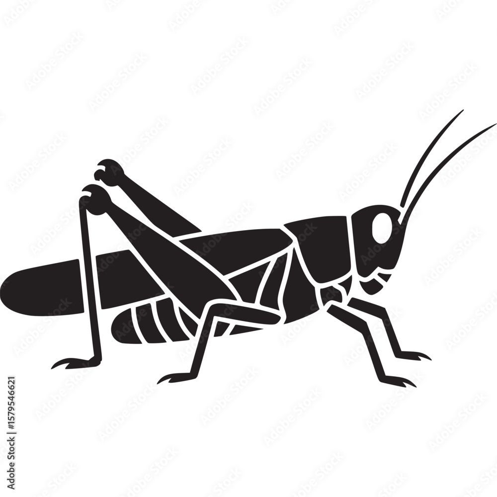 Poster a graphic silhouette of a grasshopper with long antenna and segmented body on a white background on 